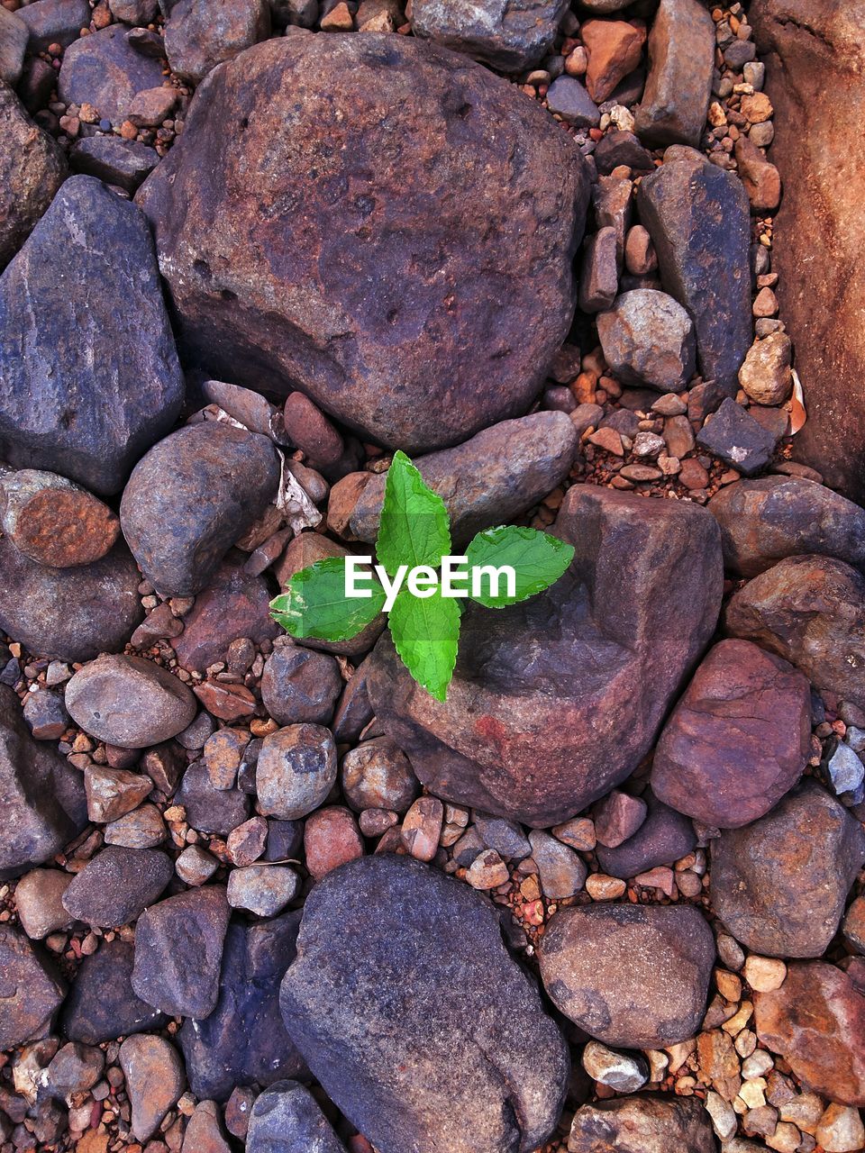 HIGH ANGLE VIEW OF PEBBLES ON STONE