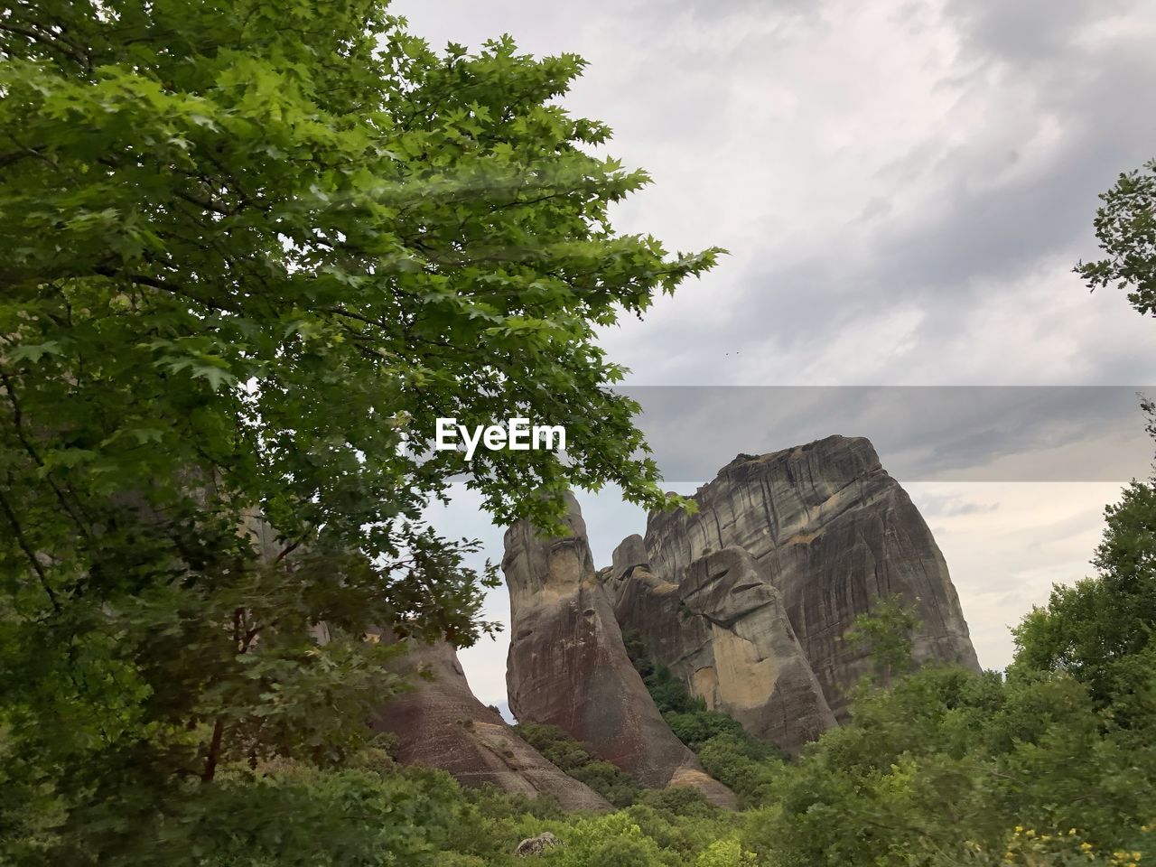 LOW ANGLE VIEW OF ROCK FORMATION ON TREE AGAINST SKY