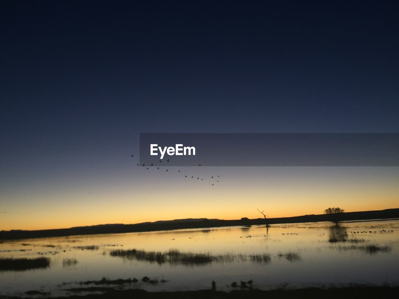 BIRDS FLYING OVER LAKE AGAINST SKY