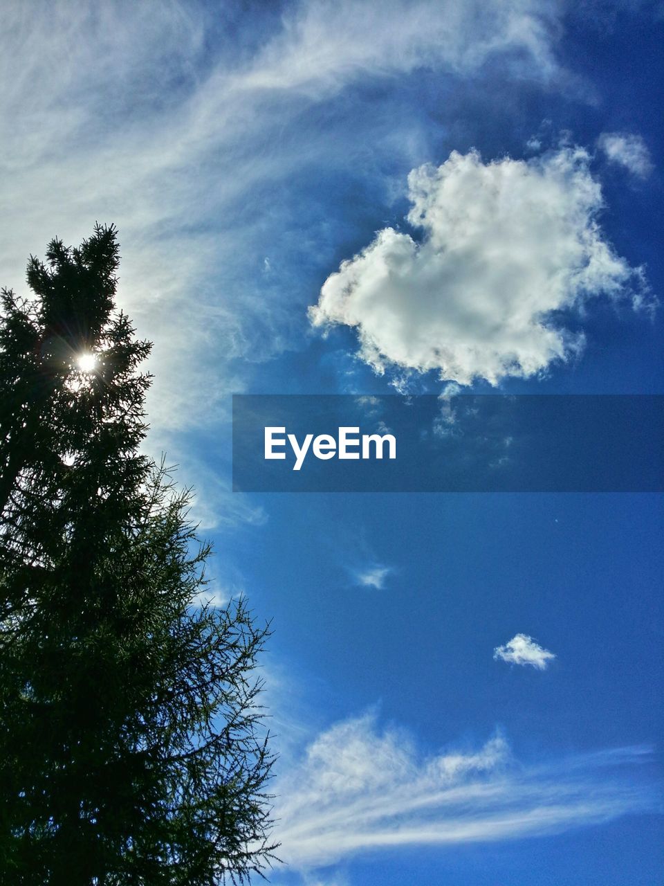 Low angle view of tree against cloudy sky