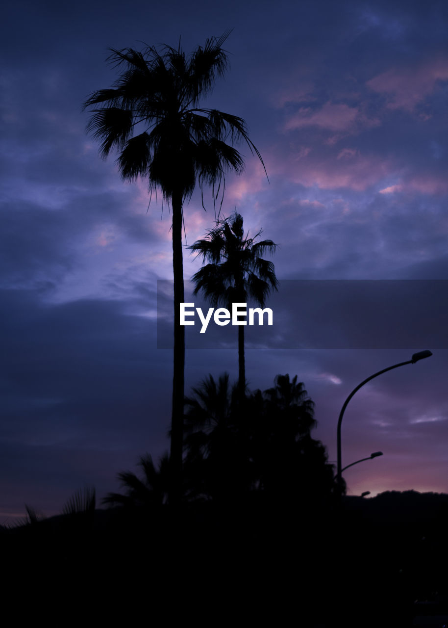 LOW ANGLE VIEW OF SILHOUETTE COCONUT PALM TREES AGAINST SKY DURING SUNSET