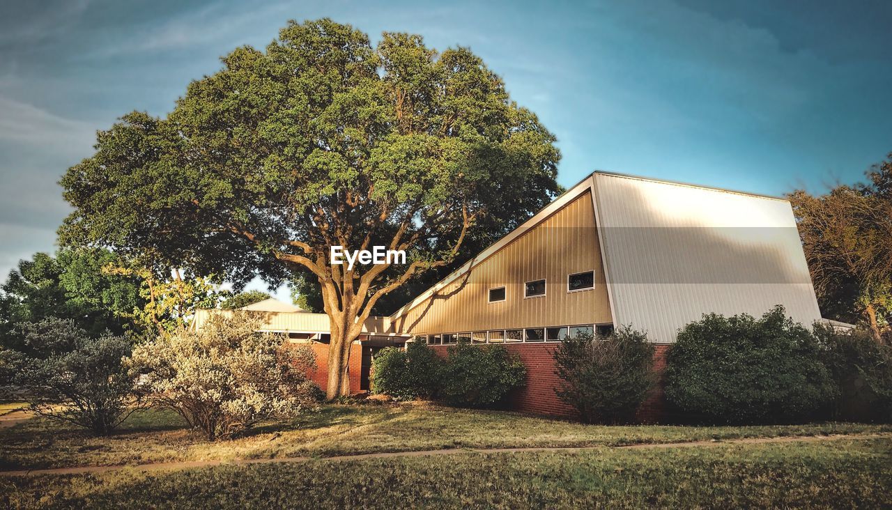 TREES IN FRONT OF BUILDING