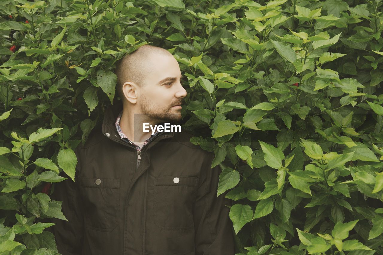 Mid adult man standing against plants in park
