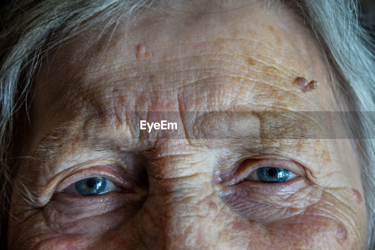 Close-up portrait of human eye