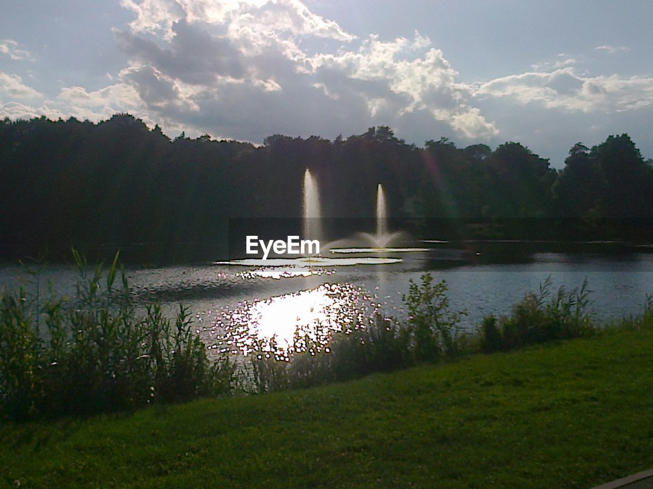 SCENIC VIEW OF LAKE WITH TREES IN BACKGROUND