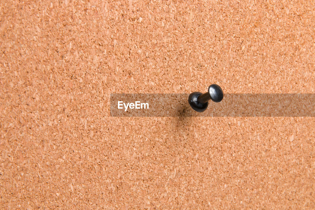 Black pin on cork board, copy space