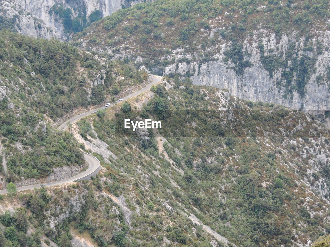 High angle view of road along trees