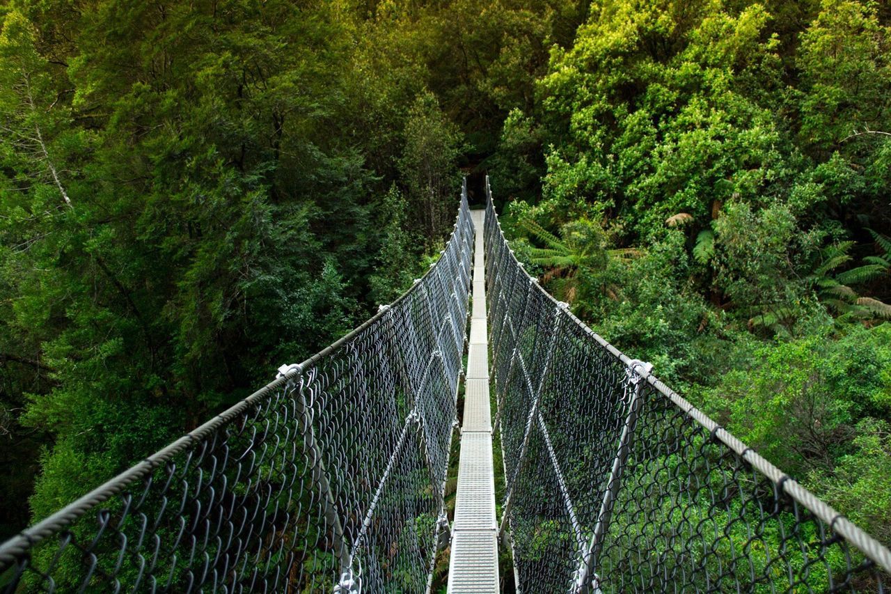 VIEW OF SUSPENSION BRIDGE