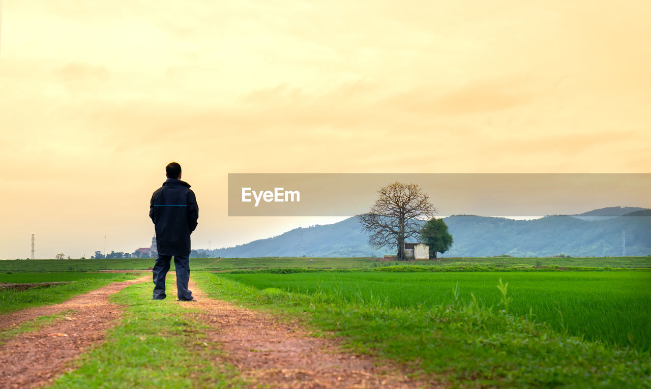 REAR VIEW OF MAN ON FIELD DURING SUNSET