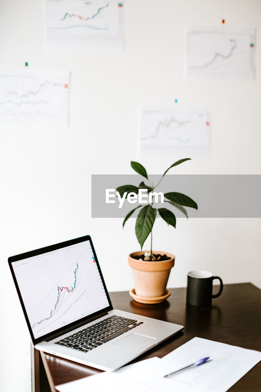 Potted plant with laptop on table at home