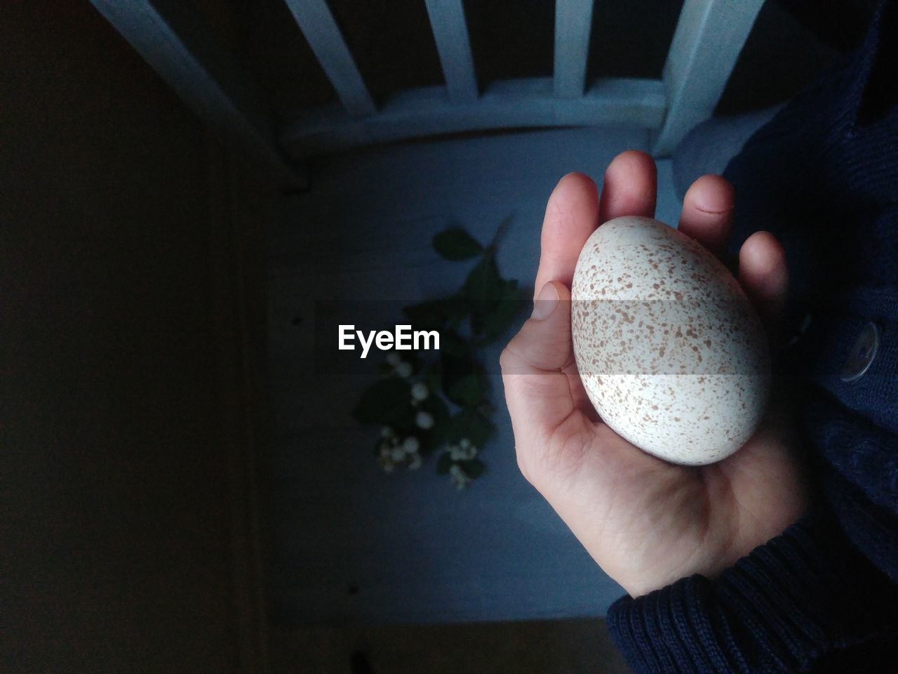 Close-up of hand holding egg