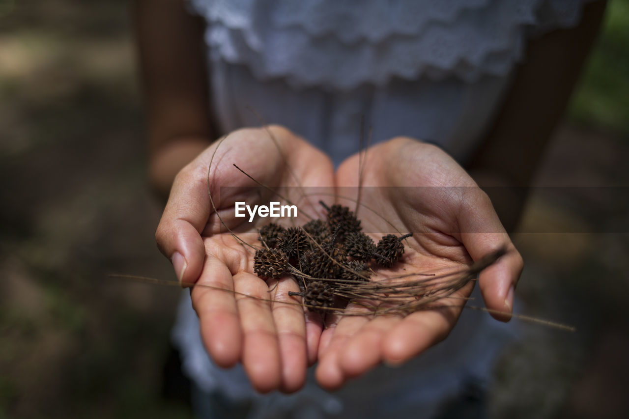 Midsection of woman holding dry plants