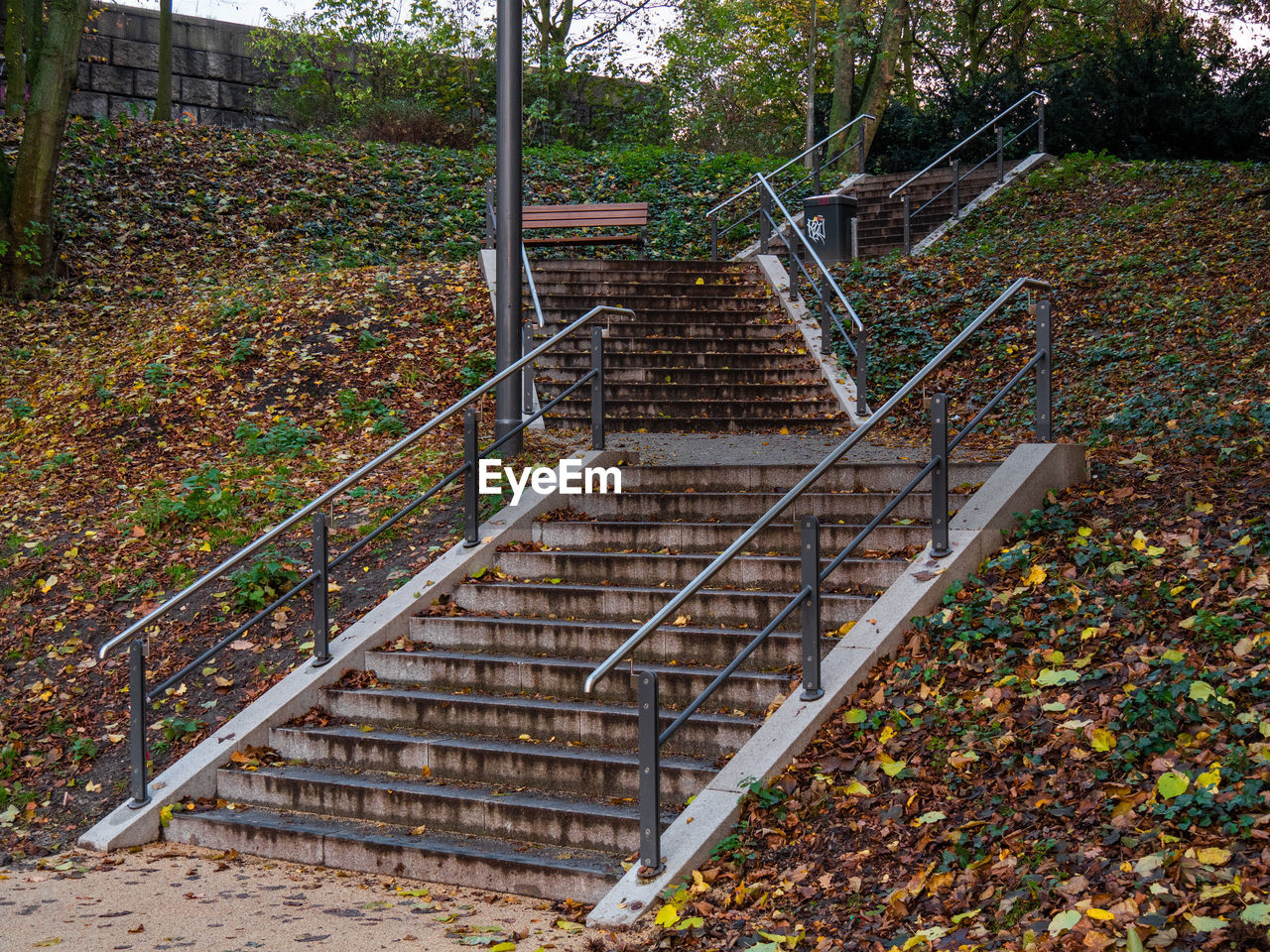 STAIRCASE IN FOREST