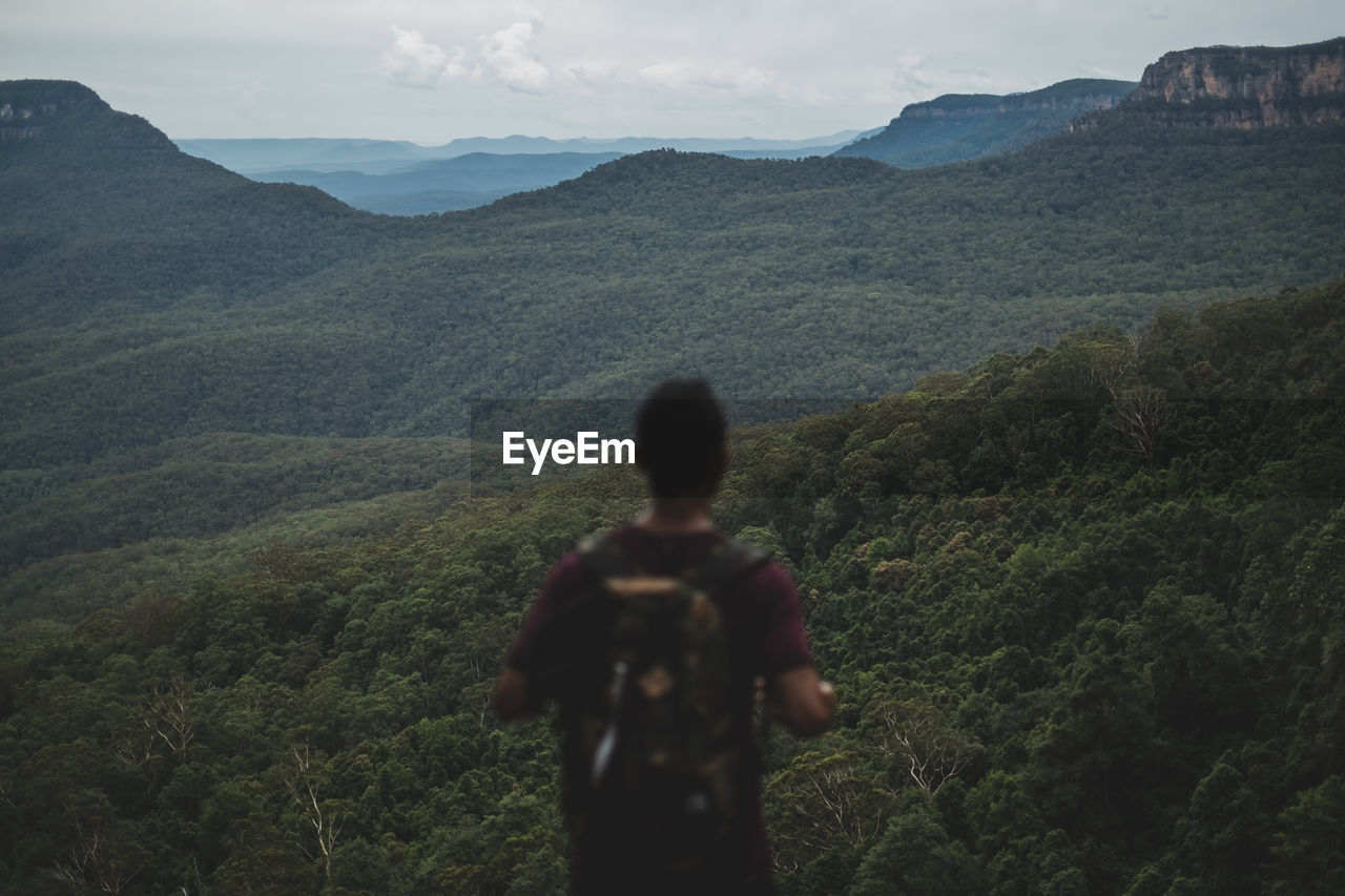 Rear view of man looking at green landscape