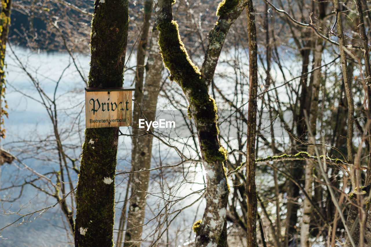 SIGN BOARD ON TREE TRUNK