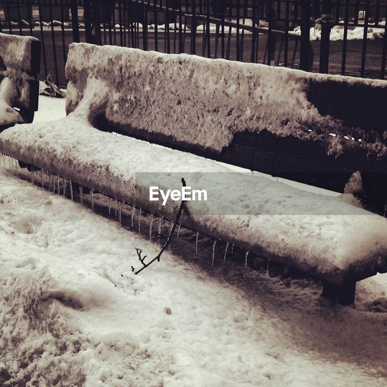 Close-up of snow covered bench