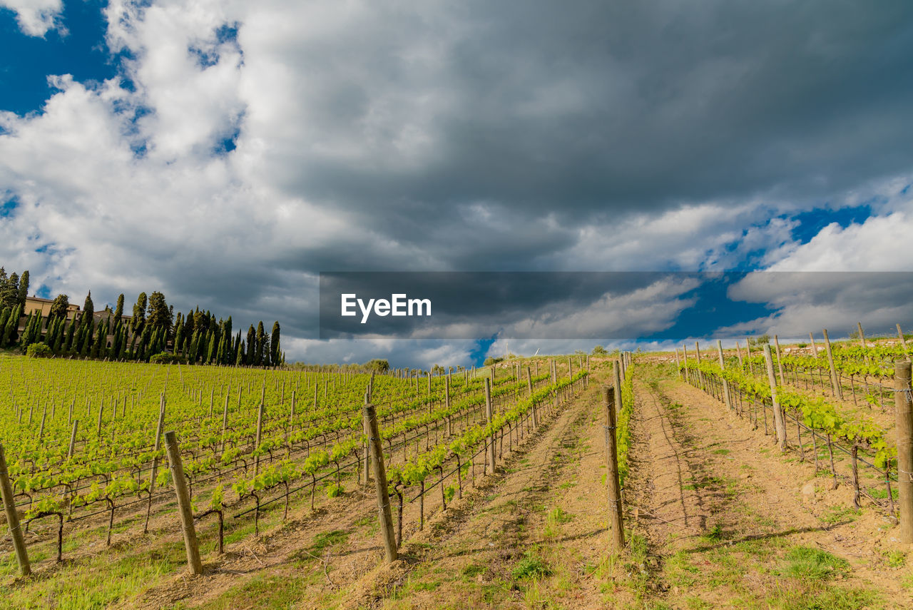 Scenic view of field against cloudy sky