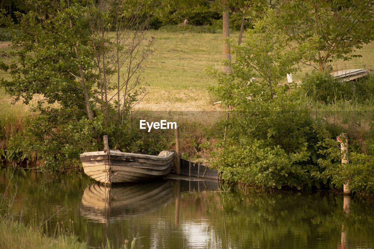 Scenic view of lake with trees in background