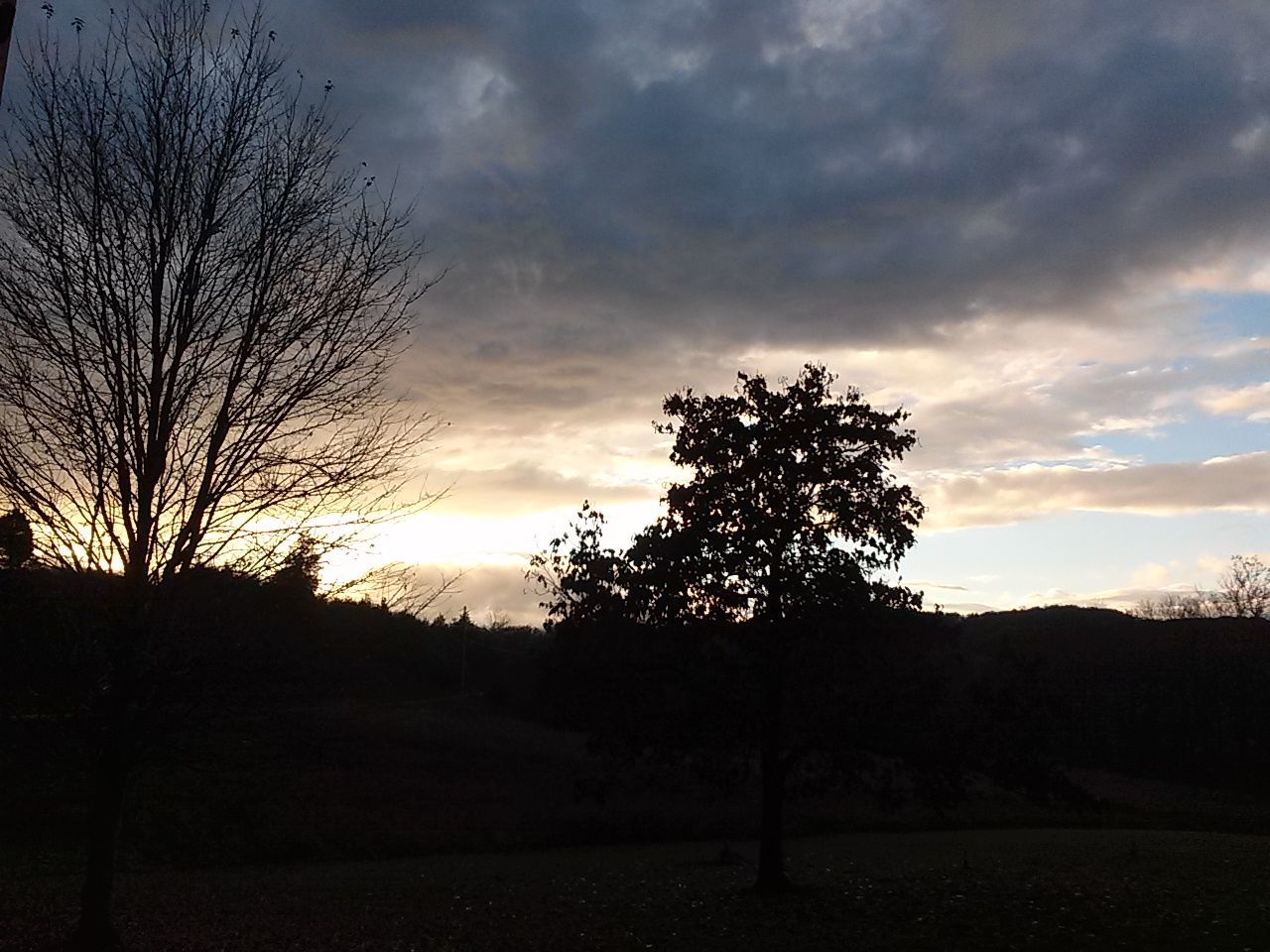 SILHOUETTE OF TREES AGAINST CLOUDY SKY