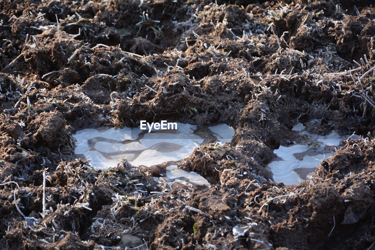 Cold temperatures. frozen waters on mud earth 