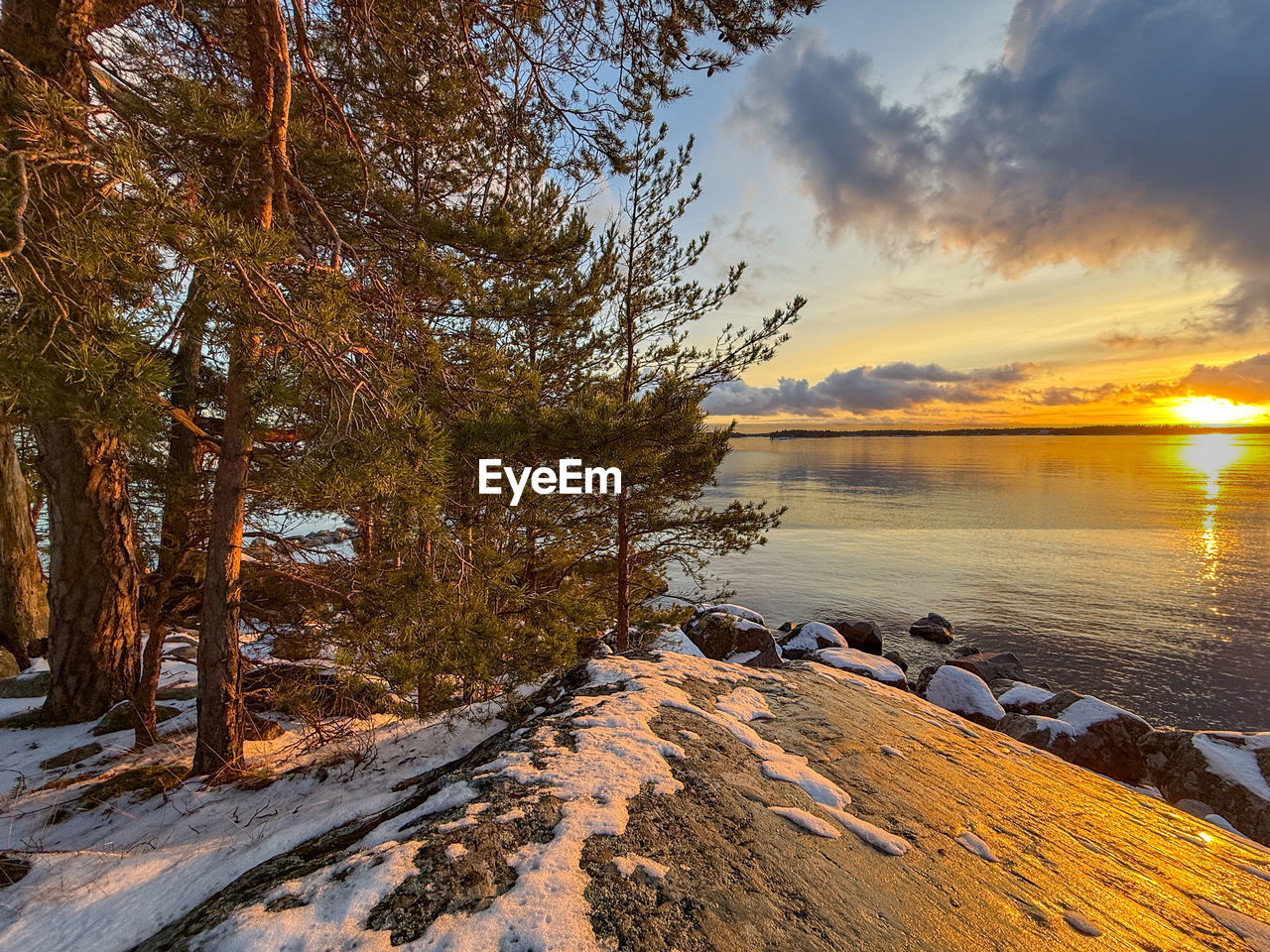 water, sky, nature, tree, beauty in nature, scenics - nature, sunset, reflection, tranquility, plant, land, cloud, landscape, tranquil scene, environment, wilderness, sunlight, lake, no people, beach, shore, evening, travel destinations, sun, non-urban scene, autumn, travel, outdoors, orange color, idyllic, winter, forest, pinaceae, coniferous tree, snow, tourism, pine tree, mountain, cold temperature