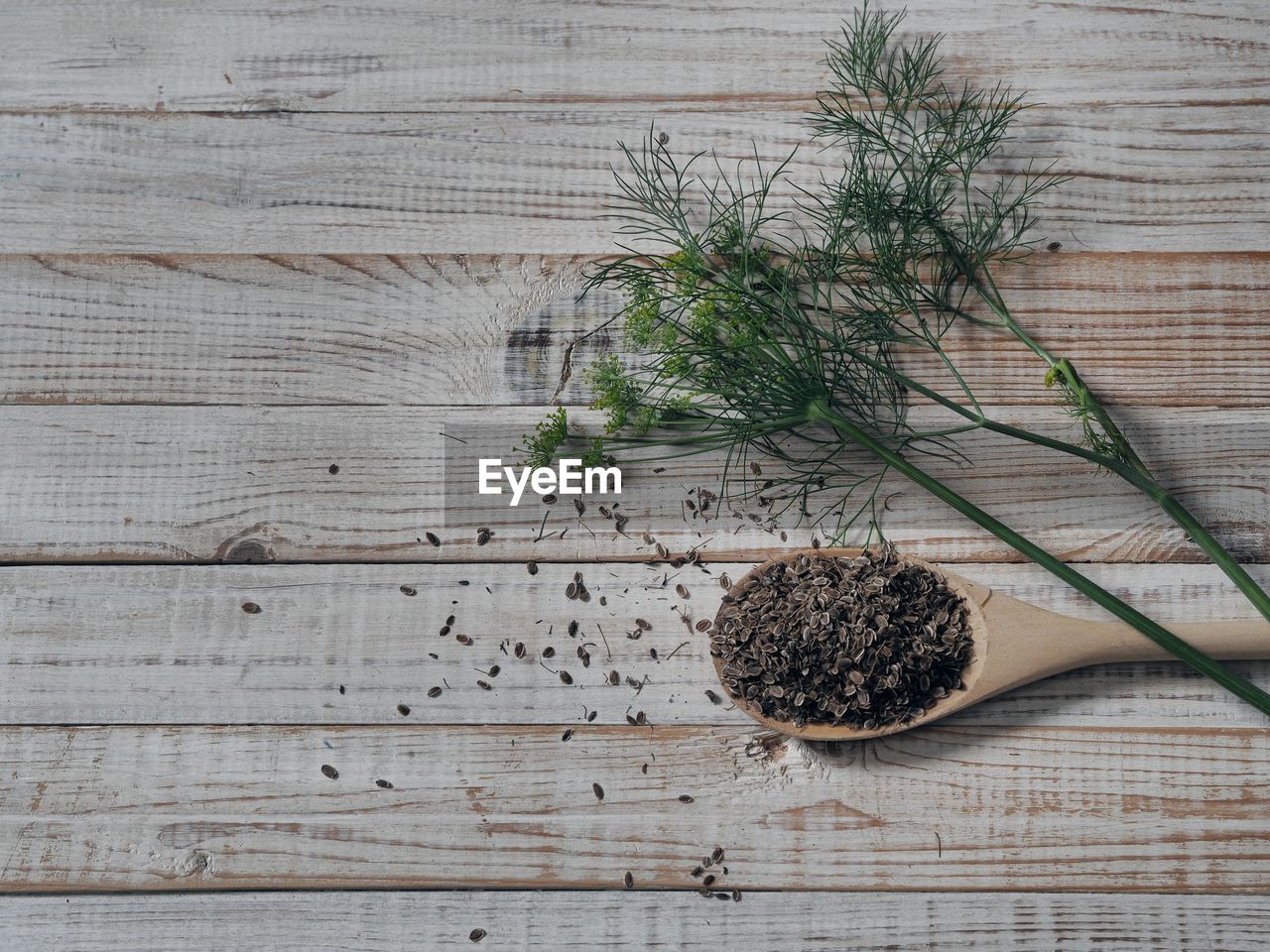 wood, plant, leaf, no people, branch, food and drink, table, food, herb, tree, nature, twig, indoors, soil, freshness, high angle view, wellbeing, directly above, still life, flower, healthy eating, growth, plant part