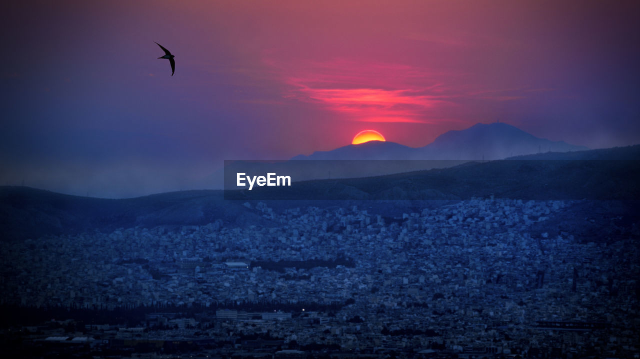 Silhouette bird flying over cityscape against sky during sunset