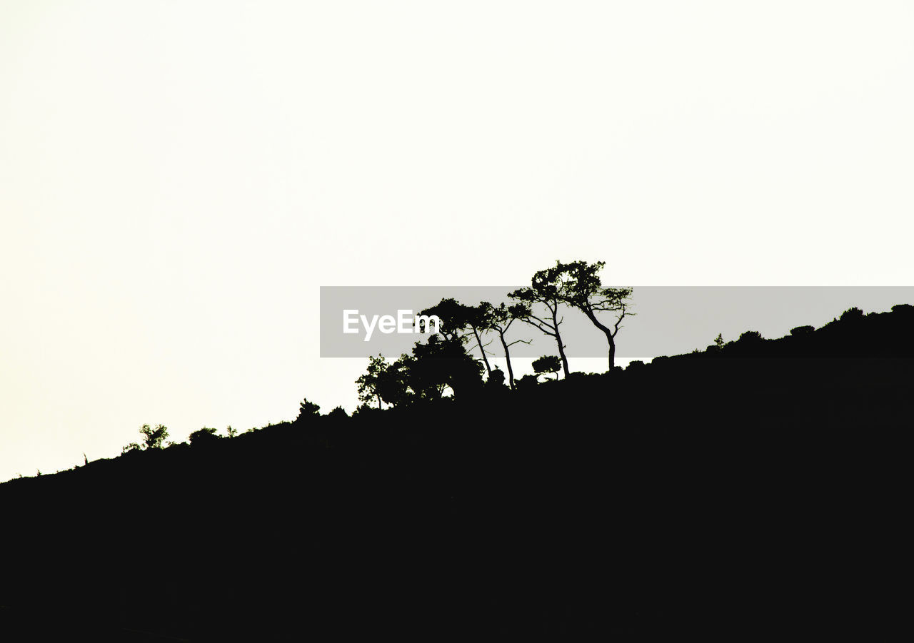 Silhouette trees against clear sky