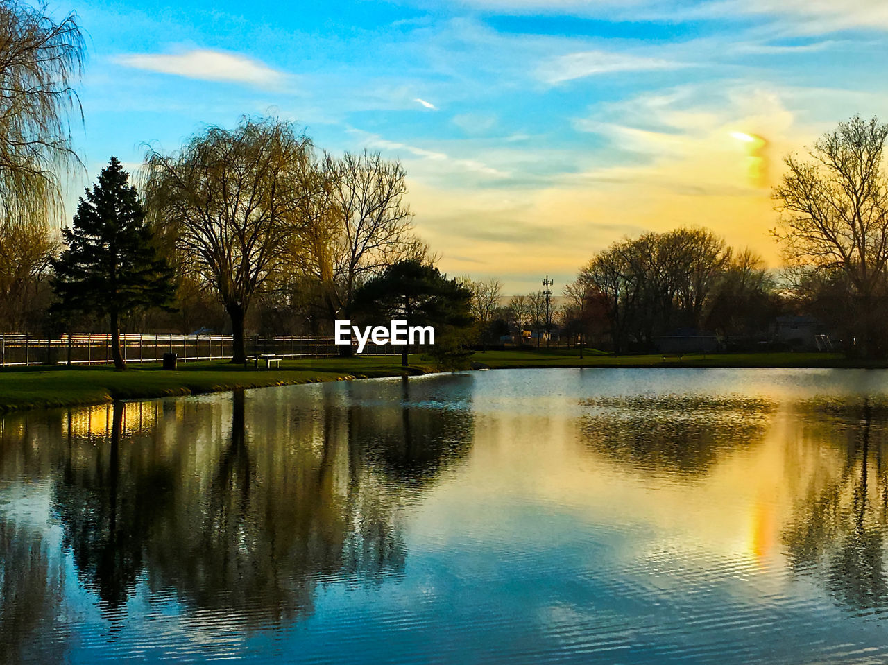 TREES BY LAKE AGAINST SKY DURING SUNSET