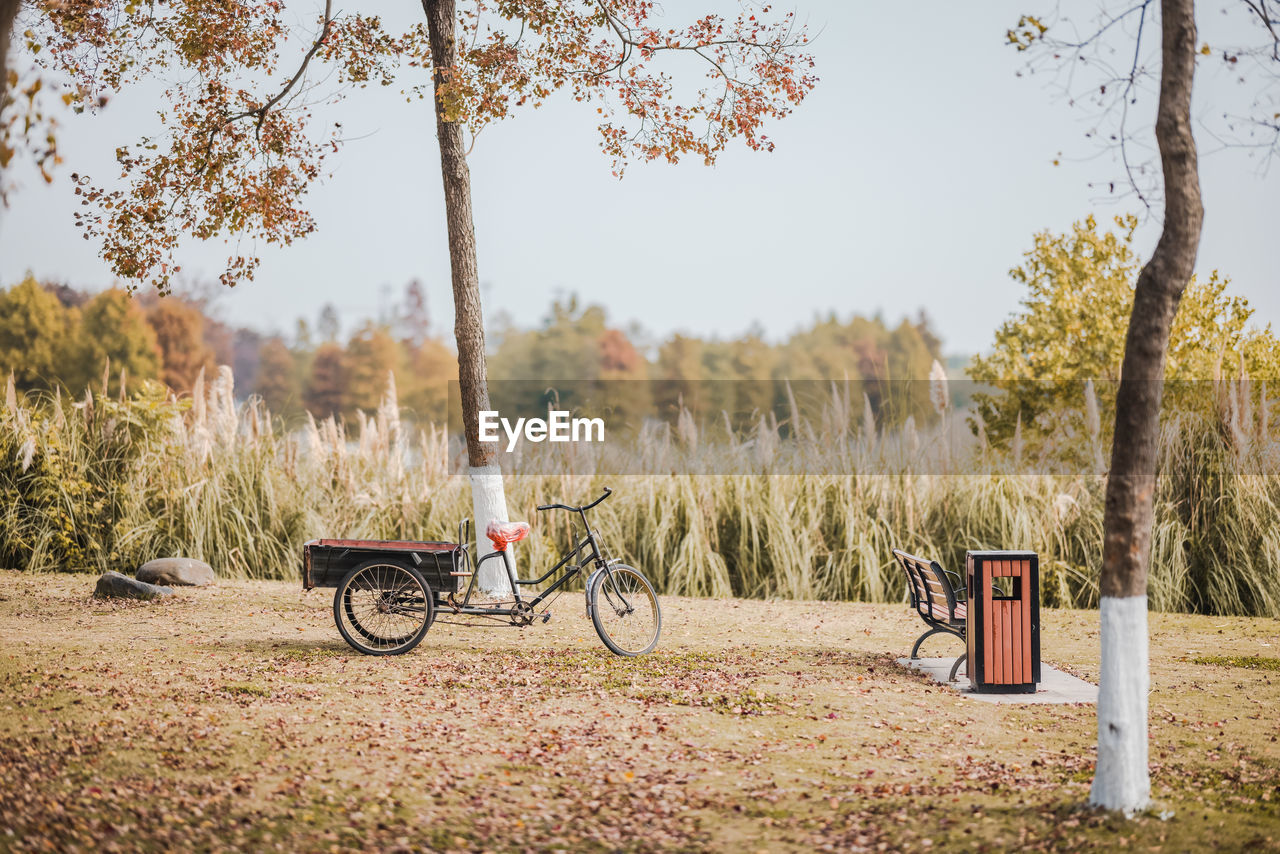 Bicycle parked on field against trees next to bench
