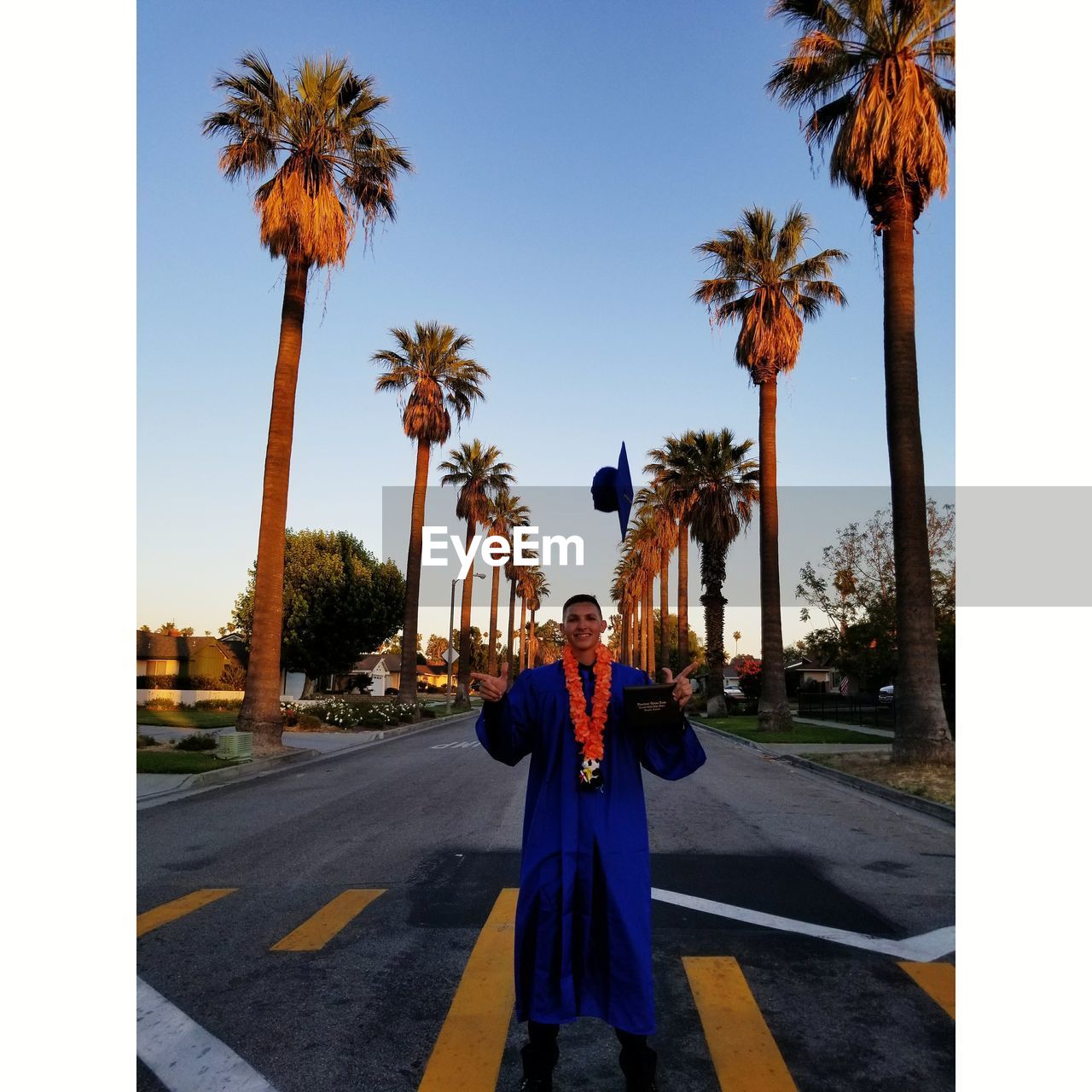 MAN AND PALM TREES ON ROAD