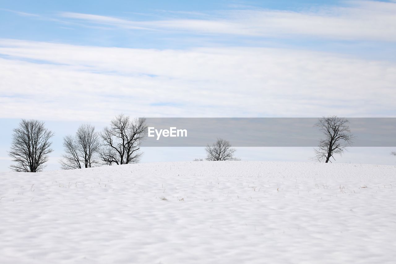 Trees on snow covered field against sky