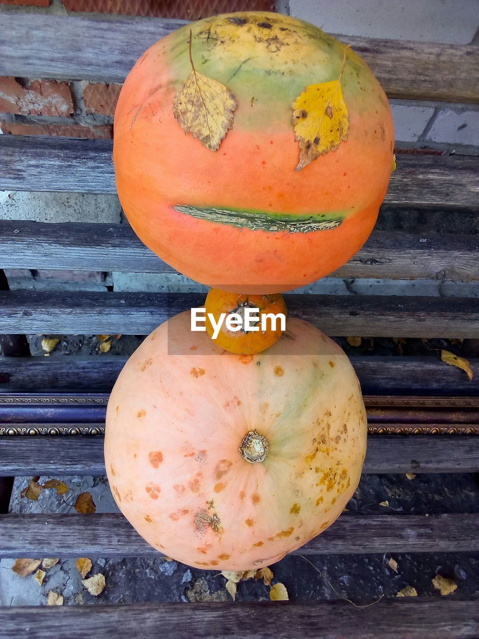 HIGH ANGLE VIEW OF PUMPKINS