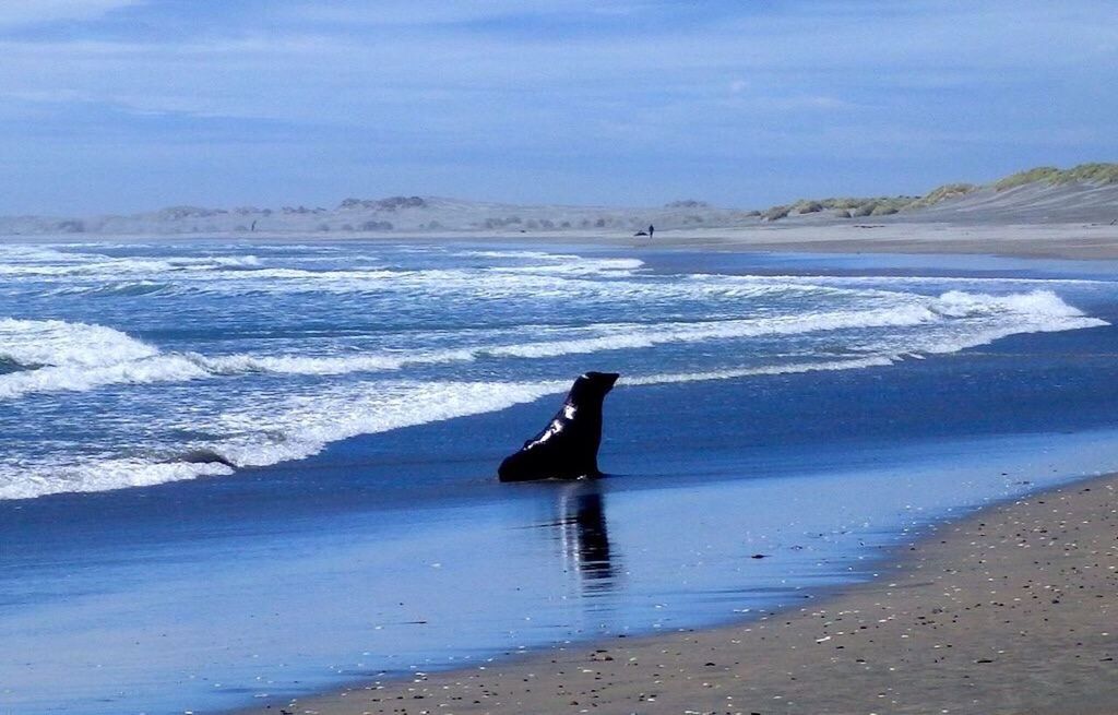 VIEW OF SEA AGAINST SKY