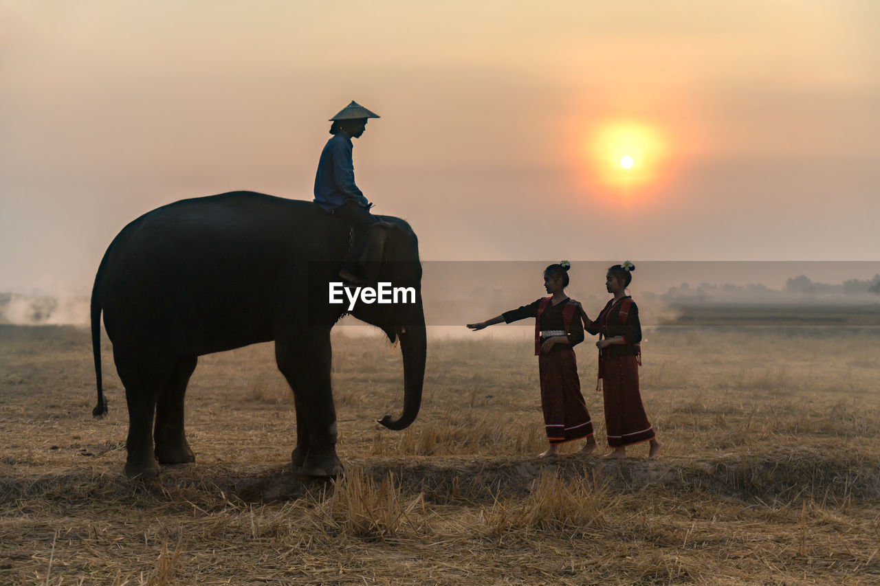 PEOPLE ON FIELD DURING SUNSET