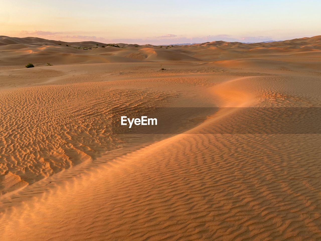 SCENIC VIEW OF SAND DUNE AGAINST SKY