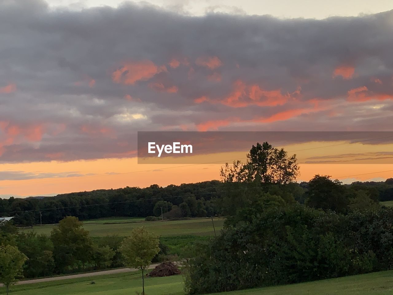 SCENIC VIEW OF TREES ON FIELD AGAINST SKY AT SUNSET