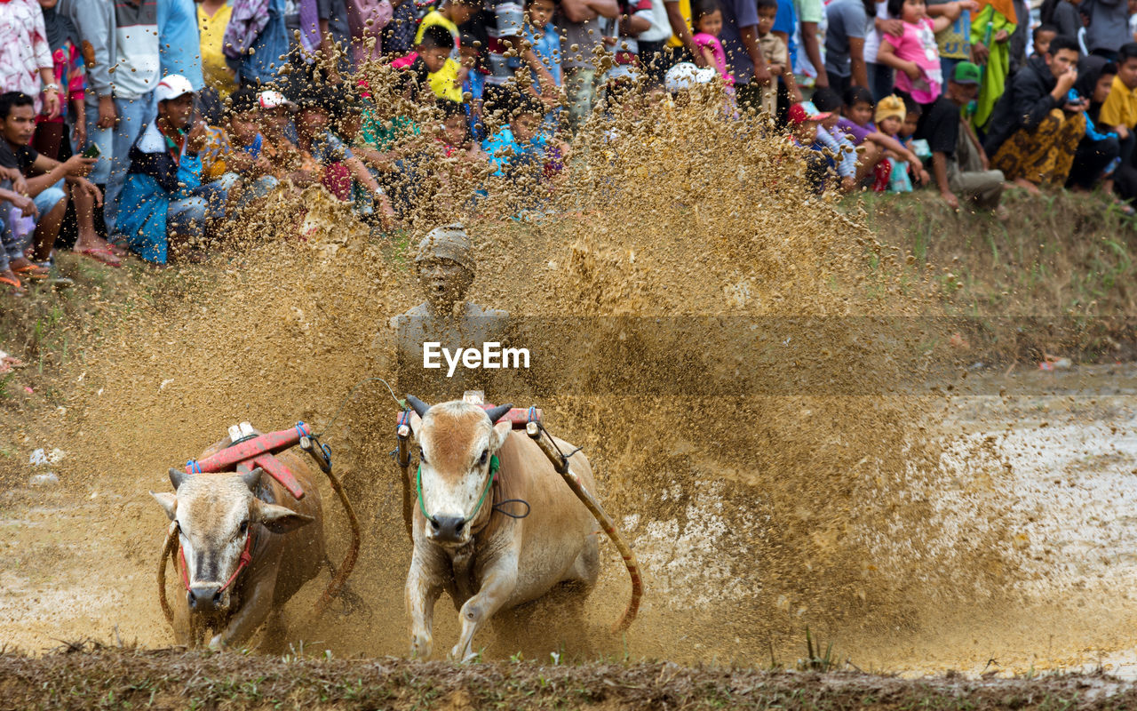 HIGH ANGLE VIEW OF CROWD IN TRADITIONAL CLOTHING