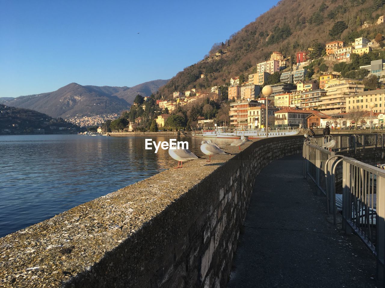 Birds perching on retaining wall by lake como