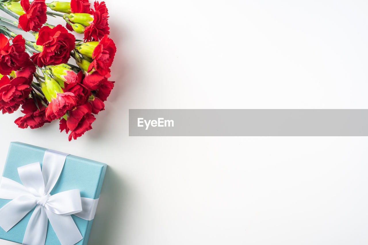 HIGH ANGLE VIEW OF RED ROSE ON WHITE BACKGROUND