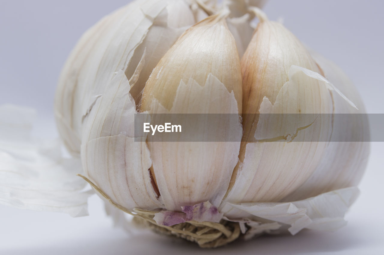 Close-up of garlic bulb against white background