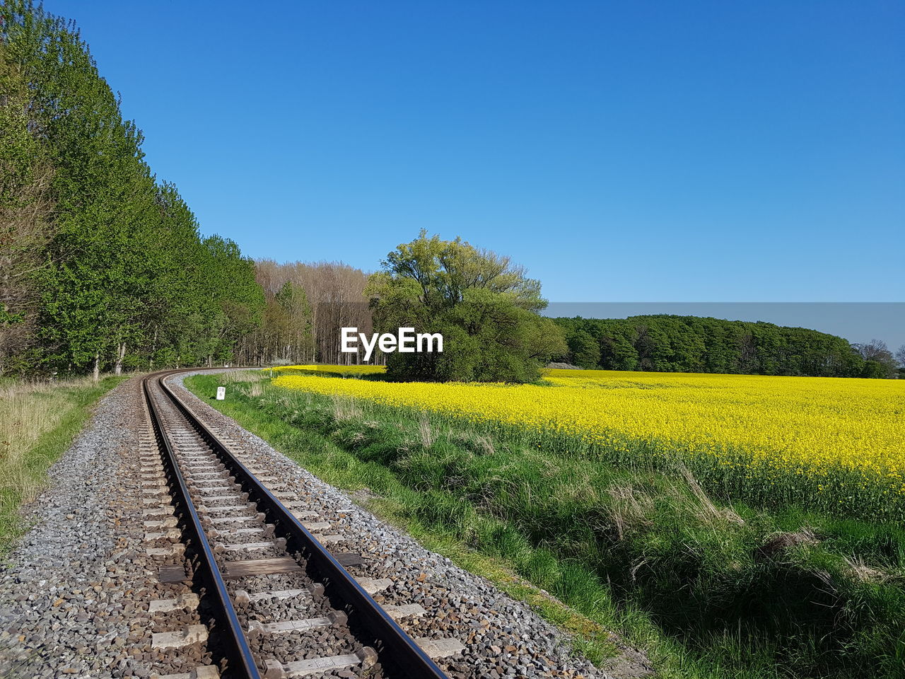 Scenic view of railroad tracks against clear sky