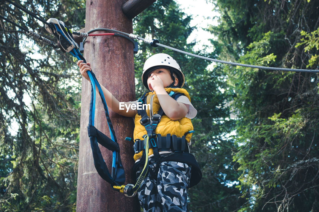 Low angle view of kid standing on treetop while having rope course at adventure park.