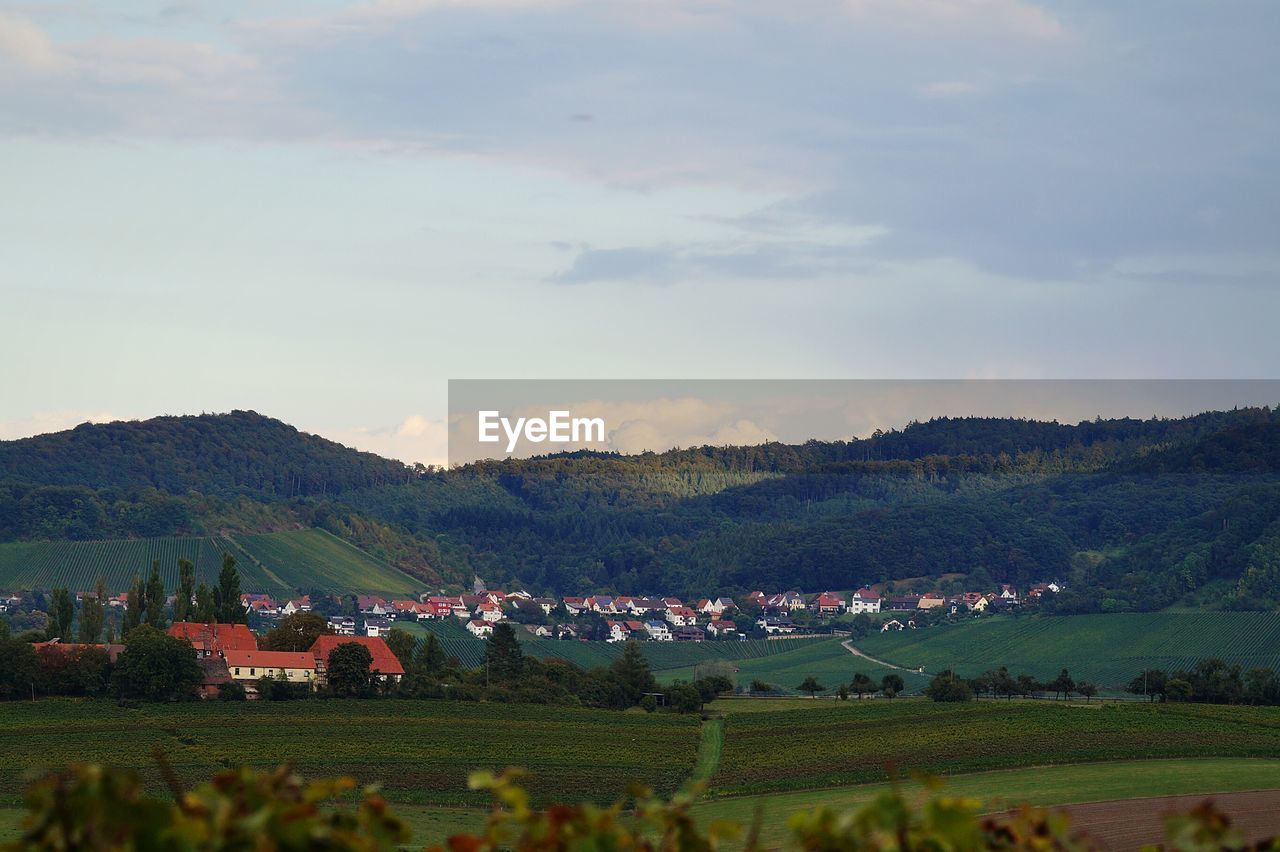 Scenic view of agricultural field and houses against sky