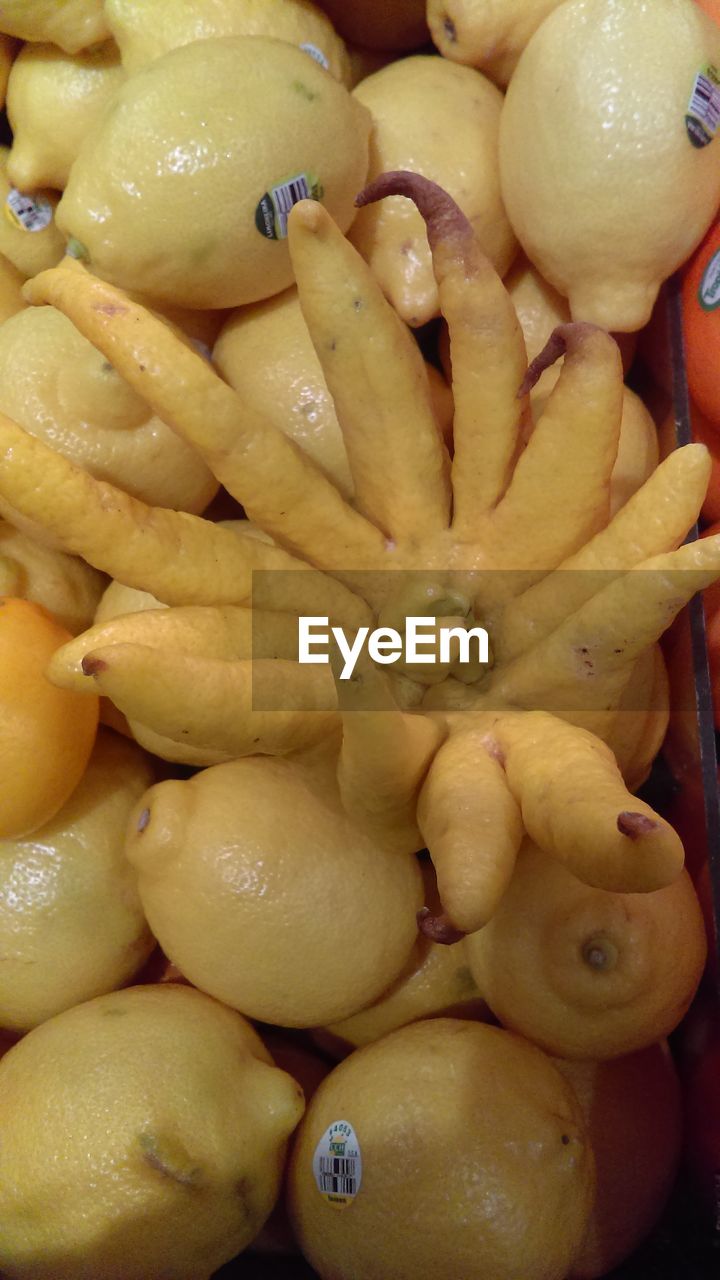 FULL FRAME SHOT OF FRESH VEGETABLES