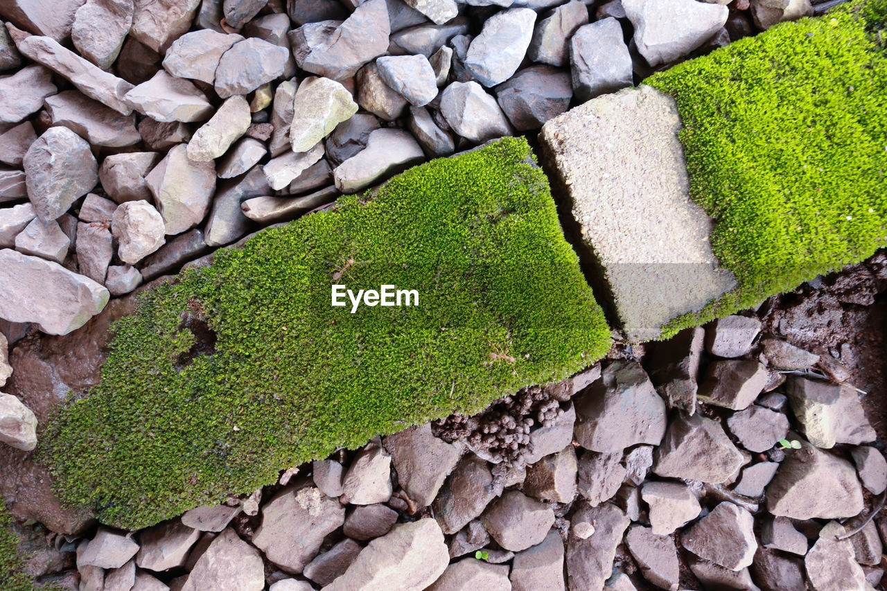 HIGH ANGLE VIEW OF STONE WALL WITH MOSS