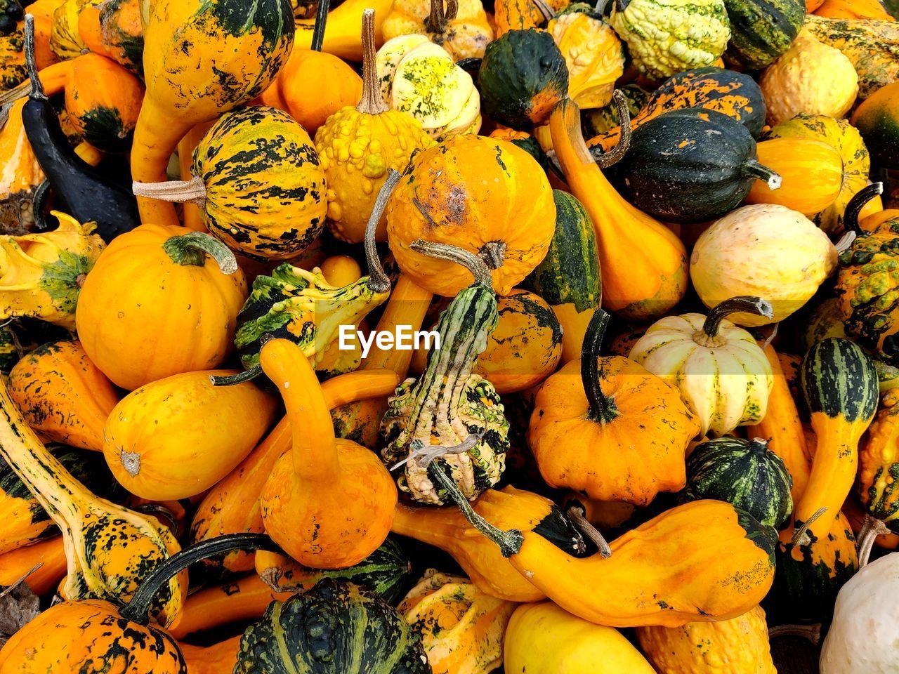 High angle view of pumpkins for sale at market stall