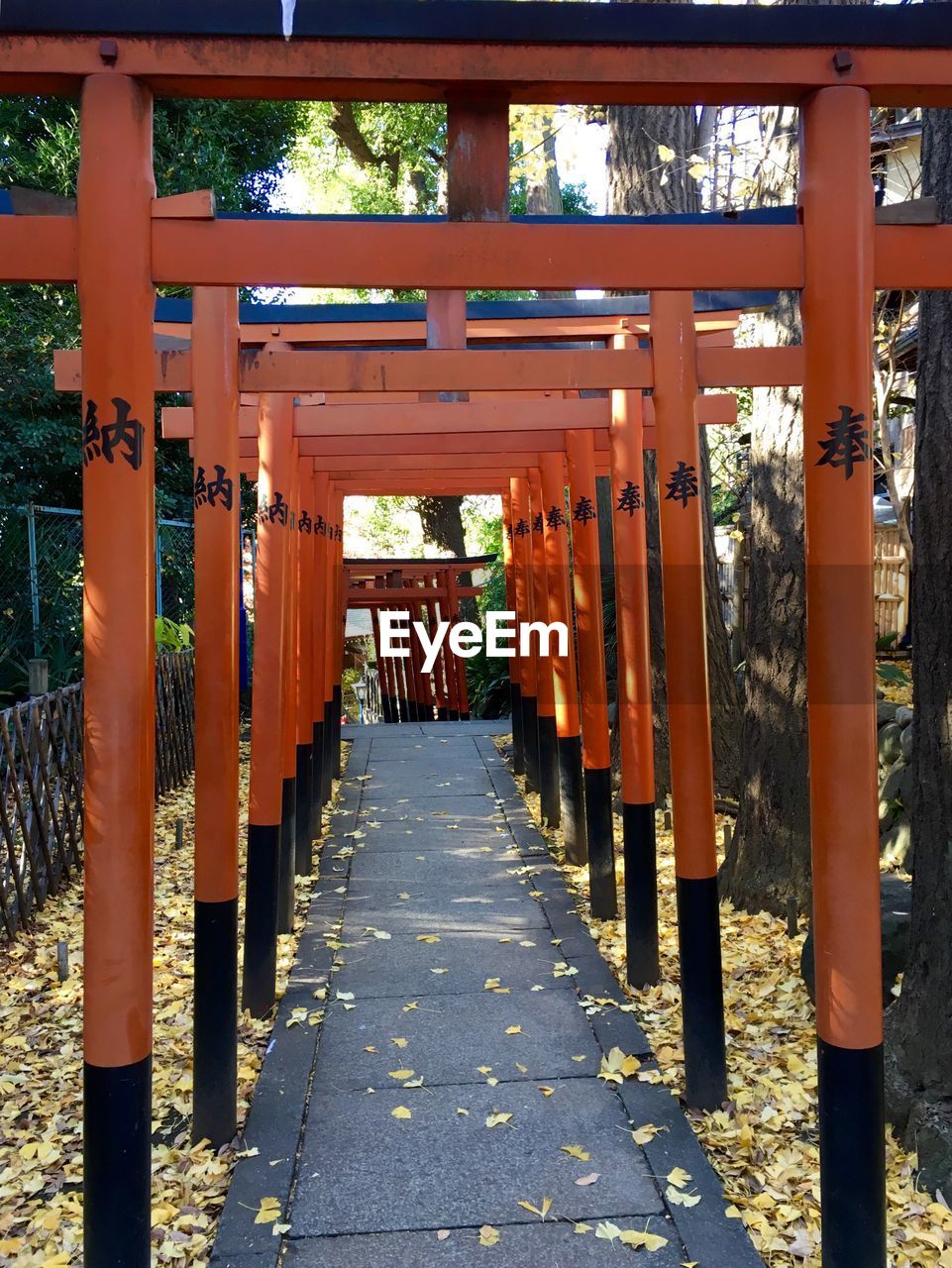 Empty footpath amidst torii gate at ueno park