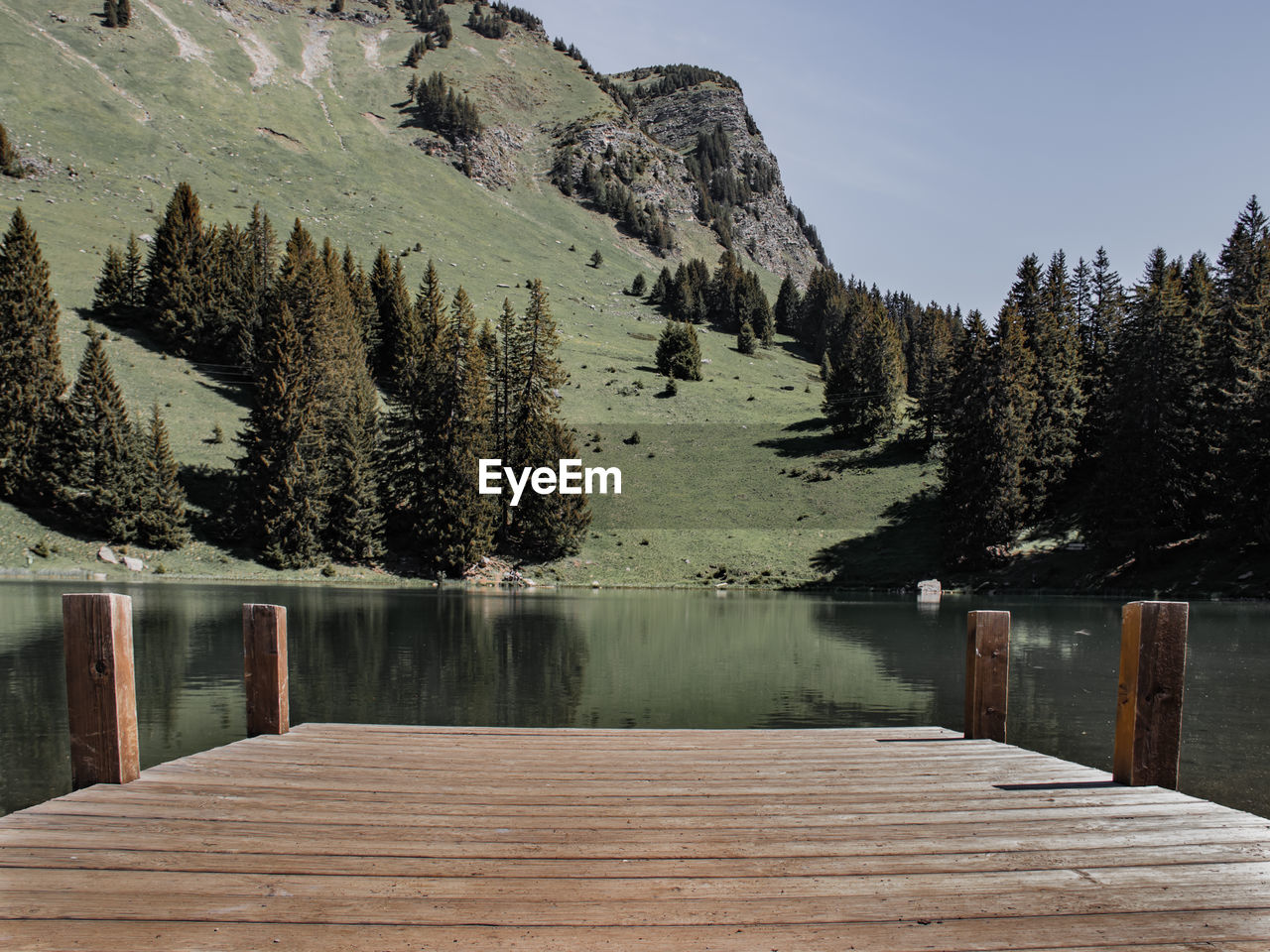 Scenic view of lake by trees against sky