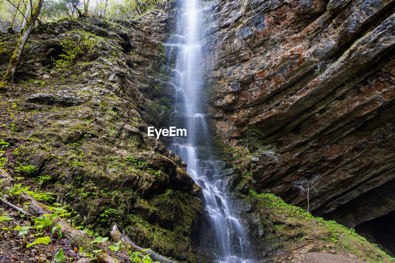 WATERFALL IN FOREST